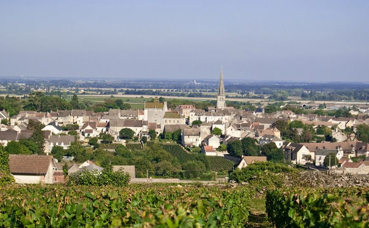 Burgundy Wine tour - Full Day Tour