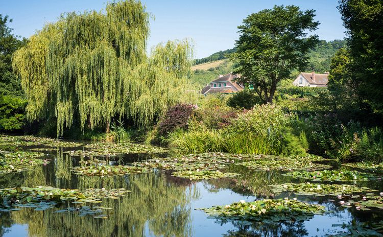 Versailles castle & Giverny - Full Day Tour